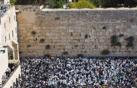 נשימה לנשמה – עוגנים לנשמה מתוך פרשת ויקהל – פקודי – החודש – תשפ"א